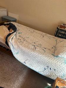 Single Electric Hospital Bed and mattresses