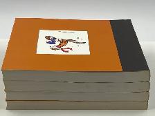 The Complete Calvin and Hobbes 4 Book Collection - Photo 6