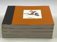 The Complete Calvin and Hobbes 4 Book Collection - Photo 8