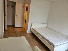 One bedroom with Ensuite 4 pcs bathroom for rent near UOIT - Photo 6