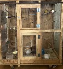 Canary (or finch) Cage for Sale $45