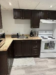 2 Bedroom basement apartment Whitby/Oshawa Border - Photo 8