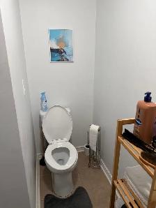 2 Bedroom basement apartment Whitby/Oshawa Border - Photo 10