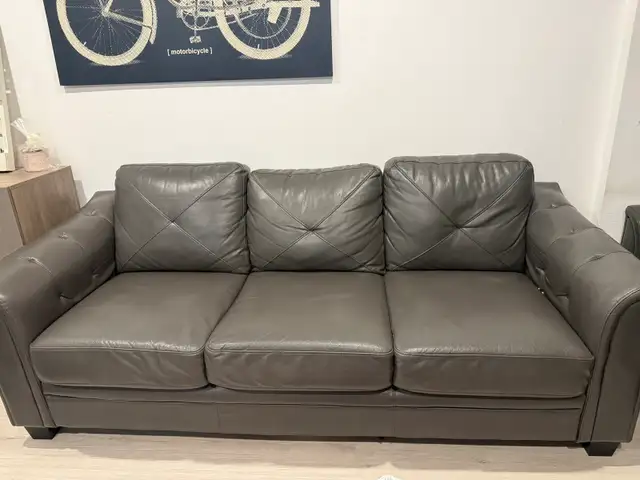 Leather Sofa Set