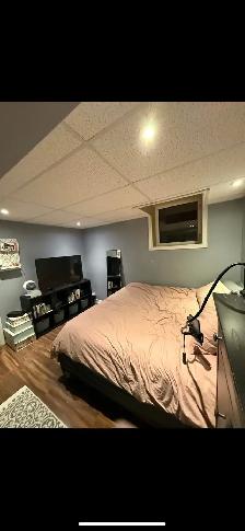 Oshawa/Whitby Border 2 Bedroom basement apartment - Photo 9