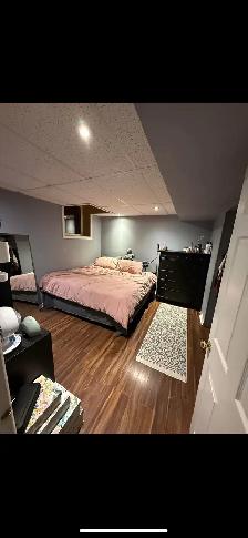 Oshawa/Whitby Border 2 Bedroom basement apartment - Photo 10