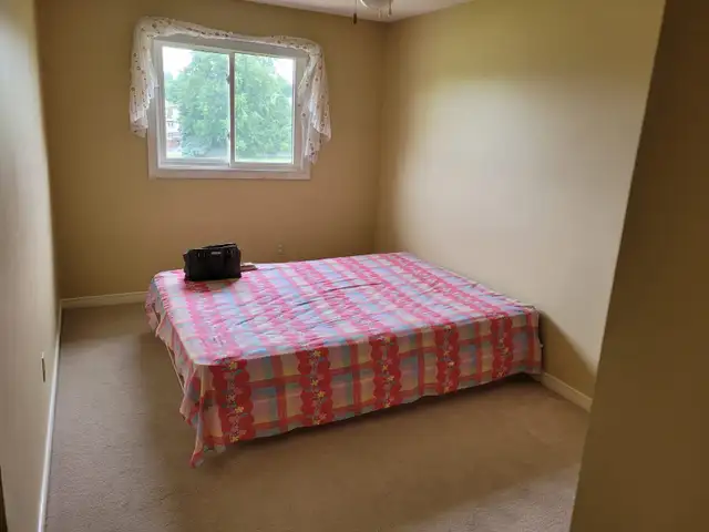 Room For Rent in Woodstock