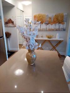 15 Lynch St. 2 Beds 2 Baths Condo For Rent - Photo 9