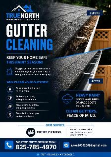 gutter  cleaning