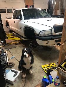2002 Dodge Dakota 4.7L v8 4x4 - Photo 4