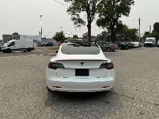 2021 Tesla Model 3 No Accidents l Performance l AWD l Upgrd l Yo - Photo 7