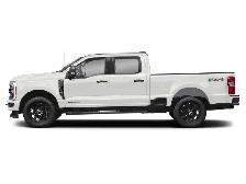 2025 Ford Super Duty F-250 SRW - Photo 3