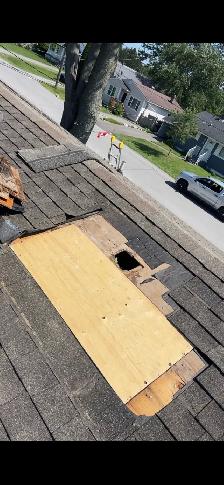 Roof/ Trough & Siding Repair - Photo 6