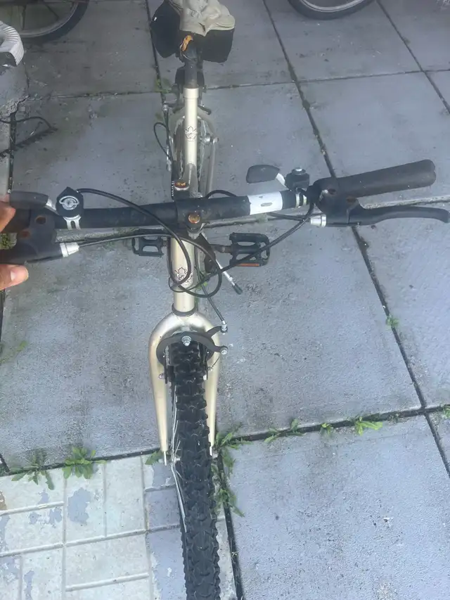 Bike $50