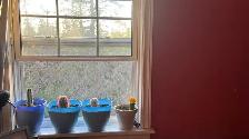 room for rent - Photo 4