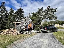 Firewood - Photo 2