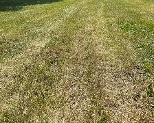 residential grass cutting