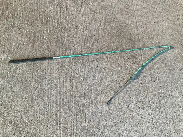 Horse whip