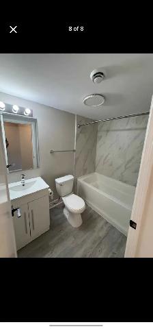 3 Rooms Available for Rent in Ottawa! - Photo 5