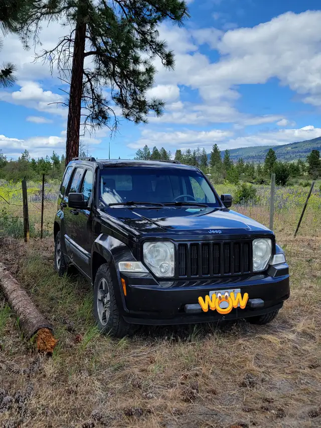 2008 Jeep Liberty