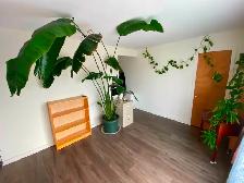 Logement 4 1/2 à louer - Photo 6