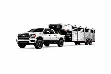 Livestock Transport