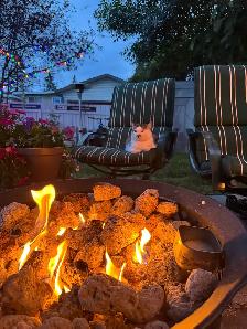30-inch Propane Fire Pit - Photo 3