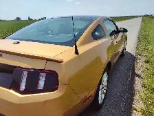 Mustang, Certified, Trades Possible, - Photo 3