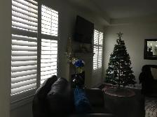 Zebra shades/Blinds/Shutters 16473275500 - Photo 4