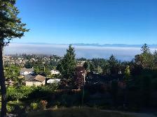 7 month winter rental North Nanaimo - Photo 5
