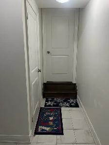 Renovated Basement Apartment - Photo 8