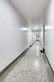 Bright, Fully Renovated 1-Bedroom Apartment — Royal York & Dunda - Photo 8