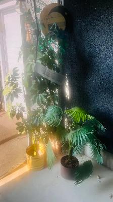 Estate Sale items - Photo 6