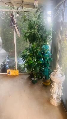 Estate Sale items - Photo 8