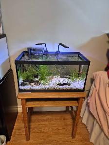 15-Gallon Planted Tank Kit - Fish and all accessories included