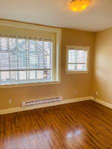 Bright Legal 1-Bedroom Coach House  – Clayton H - Photo 4