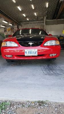 1994 Mustang Convertable v6 - Photo 5