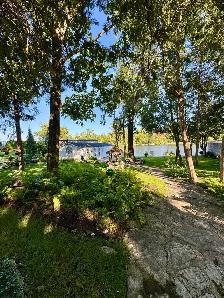 house for rent bobcaygeon on the lake