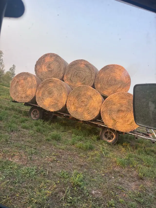 hay for sale