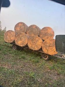 hay for sale