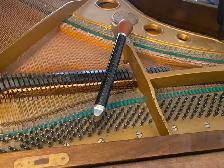 Piano Tuner