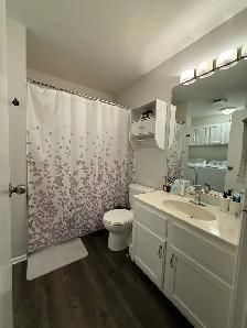 2 beds 1 bath condo to rent - Photo 4
