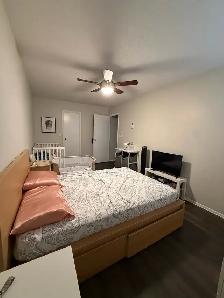 2 beds 1 bath condo to rent - Photo 7