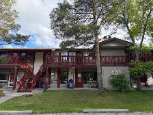 2 beds 1 bath condo to rent - Photo 9