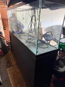 150 gallon aquarium - Photo 2