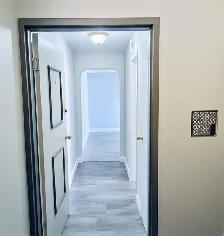 Large STUDIO   Enhanced Living Experience - Photo 3
