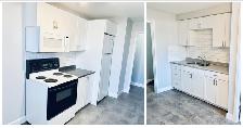 Large STUDIO   Enhanced Living Experience - Photo 4