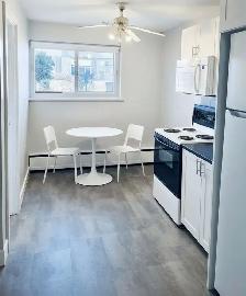Large STUDIO   Enhanced Living Experience - Photo 5