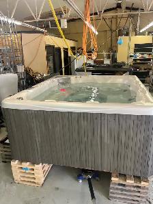Hot Tub Beach Comber  hybrid - Photo 3