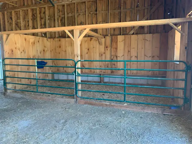 Private horse boarding for 2-3 horses
